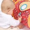 Aktivitetslegetøj Til Baby - Oppustelig Løve - Ludi