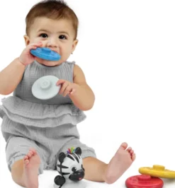 Baby Einstein - Bideringe - Stable Og Vippelegetøj