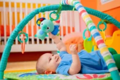 Bright Starts - Wild Wiggles Foldaway Aktivitetstæppe - Bs-16814