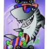 California - Skateboard 43 CM - Assorteret
