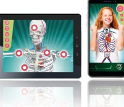 Clementoni - Anatomi Legesæt - Anatomy Lab - Science & Play
