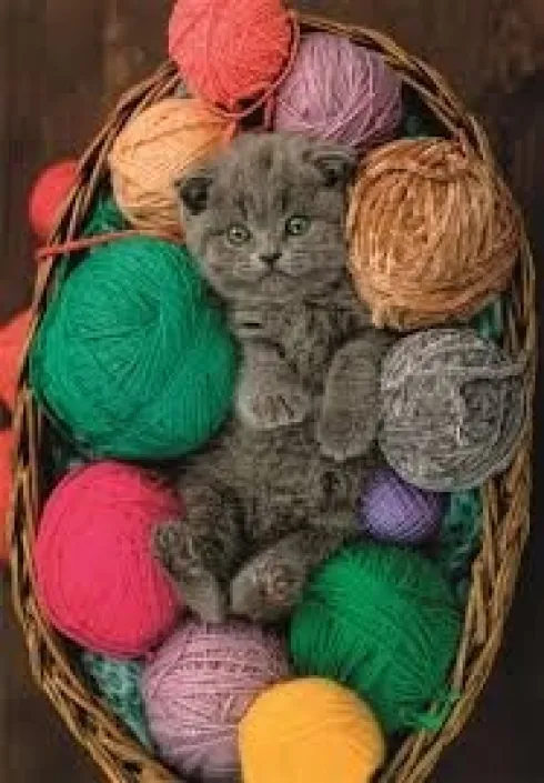 Clementoni - Fluffy Kitten Puzzle - 500 Brikker - Hqc Puslespil