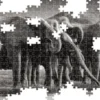 Clementoni Puslespil - Elefanter - High Quality Panorama - 1000 Brikker