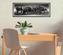 Clementoni Puslespil - Elefanter - High Quality Panorama - 1000 Brikker