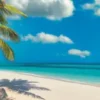 Clementoni Puslespil - Gynge På Stranden - Panorama - 1000 Brikker