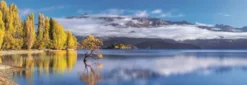Clementoni Puslespil - Wanaka's Golden - High Quality Panorama - 1000 Brikker