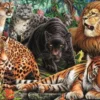 Clementoni Puslespil - Wild Cats - High Quality - 500 Brikker