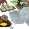 Clementoni - Science & Play - My Wild Terrarium - Bear
