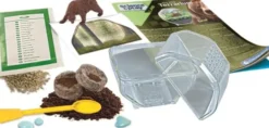 Clementoni - Science & Play - My Wild Terrarium - Bear