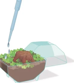 Clementoni - Science & Play - My Wild Terrarium - Bear
