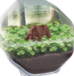 Clementoni - Science & Play - My Wild Terrarium - Bear