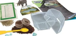 Clementoni - Science & Play - My Wild Terrarium - Elephant
