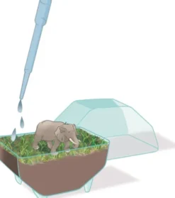 Clementoni - Science & Play - My Wild Terrarium - Elephant