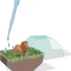 Clementoni - Science & Play - My Wild Terrarium - Lion
