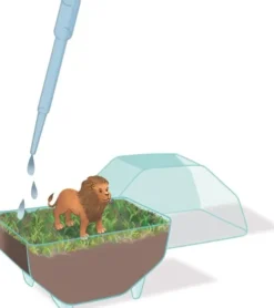 Clementoni - Science & Play - My Wild Terrarium - Lion