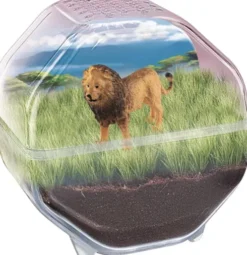 Clementoni - Science & Play - My Wild Terrarium - Lion