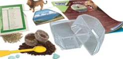Clementoni - Science & Play - My Wild Terrarium - Lion