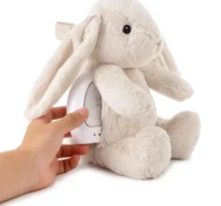 Cloud B - Bamse Med Lys Og Lyd - Kaninen Billy