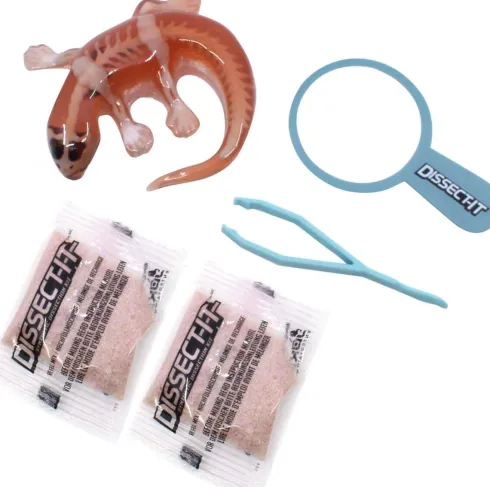 Dissect It - Mini Salamander Lab - Mini Labs - Figur Legesæt