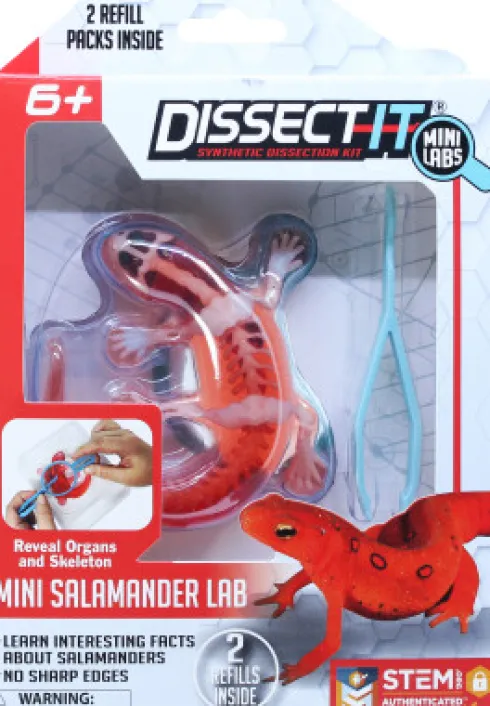 Dissect It - Mini Salamander Lab - Mini Labs - Figur Legesæt