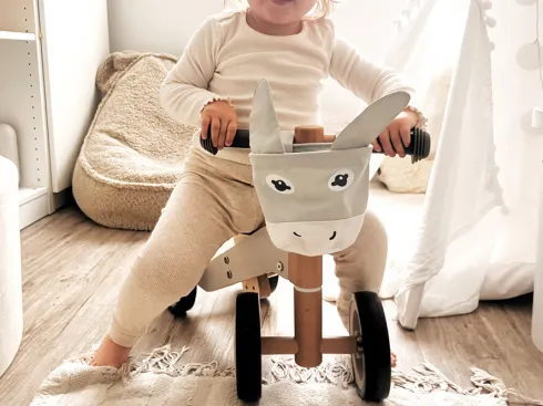 Donkey Trainer Bike