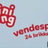 DR Minisjang - Børste Vendespil - 24 Dele