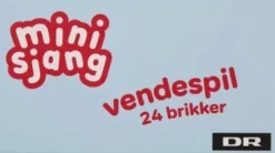 DR Minisjang - Børste Vendespil - 24 Dele