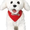 DR Minisjang - Ollie Bamse - Hundebanden - 26 CM