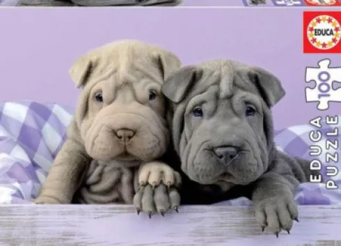 Educa - Puppies Puzzle - 100 Brikker - Hundehvalpe Puslespil