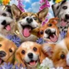 Educa - Puppies Selfie Puzzle - Howard Robinson - 1000 Brikker