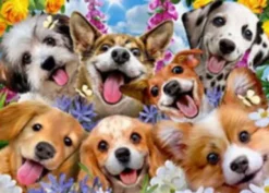 Educa - Puppies Selfie Puzzle - Howard Robinson - 1000 Brikker