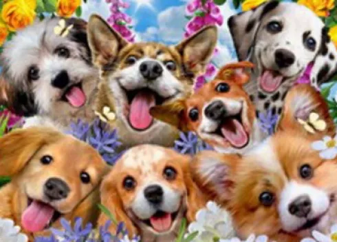 Educa - Puppies Selfie Puzzle - Howard Robinson - 1000 Brikker