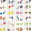 Eeboo - Sea Live - Memory Match & Make - Huskespil