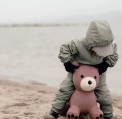 Find That Hippo - Hoppedyr - Bjørn