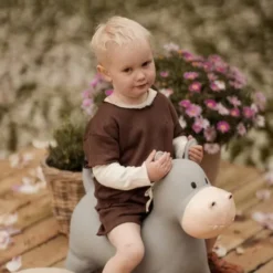 Find That Hippo - Hoppedyr - Flodhest