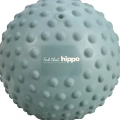 Find That Hippo - Stor Sansebold - Weldon Blue