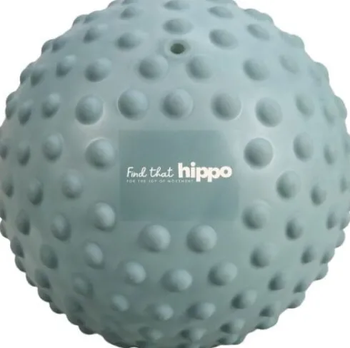 Find That Hippo - Stor Sansebold - Weldon Blue