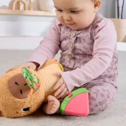 Fisher-Price - Snuggly Snacky Capy