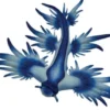 Fiske Figur - Glaucus Atlanticus - Blå - 67511 - Bullyland