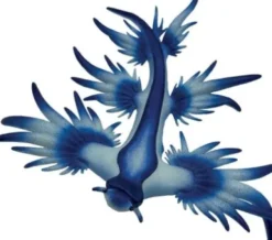 Fiske Figur - Glaucus Atlanticus - Blå - 67511 - Bullyland