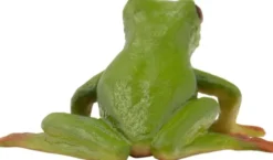 Frø Figur - Rødøjet Løvfrø - 68516 - Bullyland