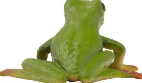 Frø Figur - Rødøjet Løvfrø - 68516 - Bullyland