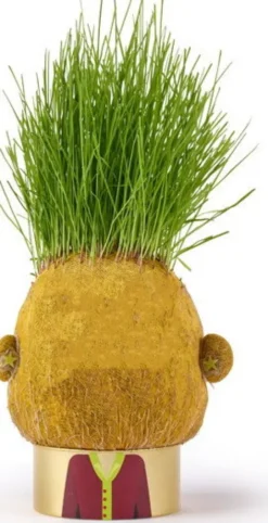 Hape - Plant Pals Monster Græshoved - Assorteret