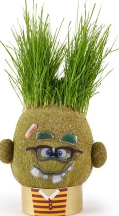 Hape - Plant Pals Monster Græshoved - Assorteret