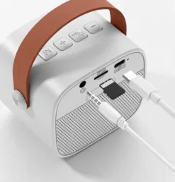 Karaoke Højtaler Med 2 Mikrofoner - Karaoke 2 Go - Mikamax