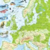 Larsen Puslespil - Europakort Med Dyr - 87 Brikker