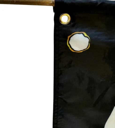 Liontouch - Piratflag - 100X70 CM - Captain Cross