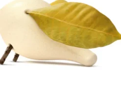 Locomo - Becky - Natur