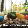 Locomo - Elmer - Natur