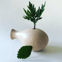 Locomo - Frida - Natur